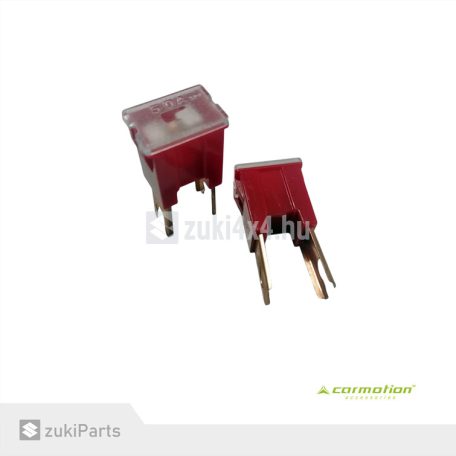 BIZTOSÍTÉK TALPAS 50A