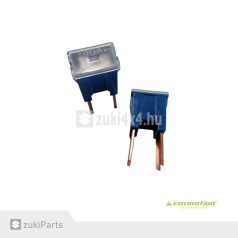 BIZTOSÍTÉK TALPAS 100A