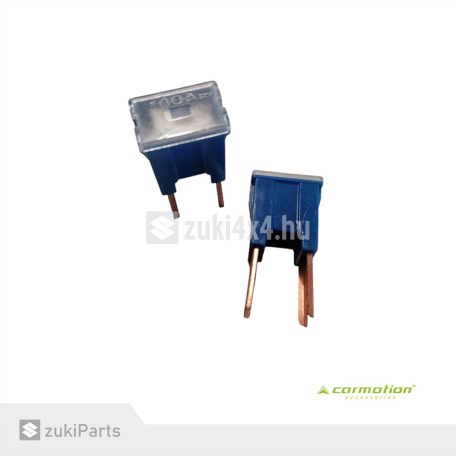 BIZTOSÍTÉK TALPAS 100A